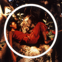 MISIA - Mother Father Brother Sister