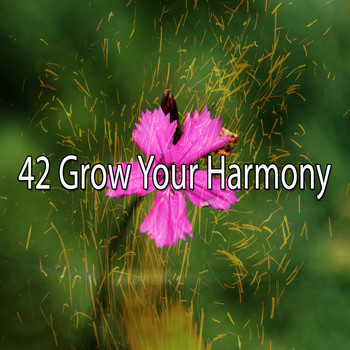 Meditation Spa - 42 Grow Your Harmony