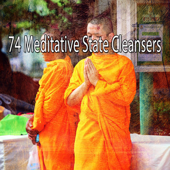 Meditation Spa - 74 Meditative State Cleansers