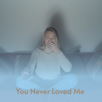 Various Artists - You Never Loved Me
