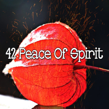 Classical Study Music - 42 Peace of Spirit