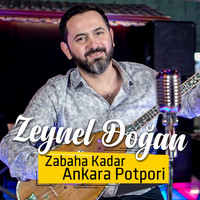 Zeynel Doğan - Potpori: Develi / Salla Salla Vur Duvara / Tridine Bandım (Zabaha Kadar Ankara)