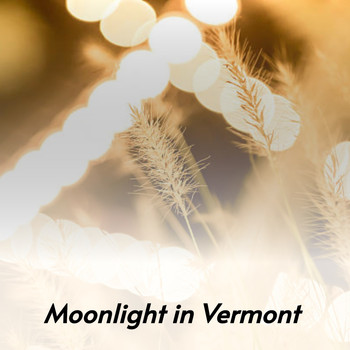 Various Artists - Moonlight in Vermont