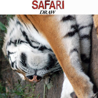 Safari - Draw