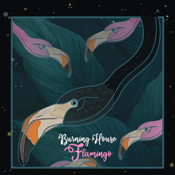 Burning House - Flamingo