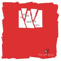 The Soft Boys - I Wanna Destroy You