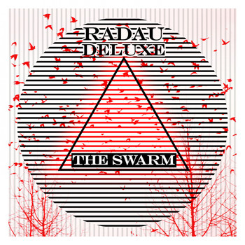 Radau Deluxe - The Swarm