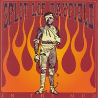 Split Lip Rayfield - In The Mud