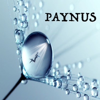 Paynus - Paynus (Explicit)