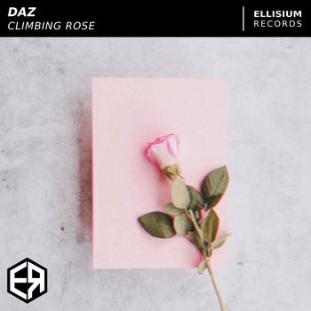 Daz - Climbing Rose