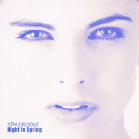 5th Groove - Night in Spring