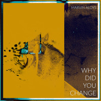 Marvin Aloys / - WHY DID YOU CHANGE