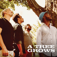 A Tree Grows / - A Tree Grows