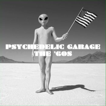 Various Artists - Psychedelic Garage The 60s
