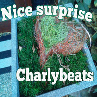 Charlybeats / - Nice Surprise