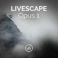 myNoise - Livescape Opus 1 (Live Studio Mix)