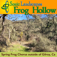Sonic Landscapes - Frog Hollow