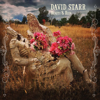 David Starr - Beauty & Ruin