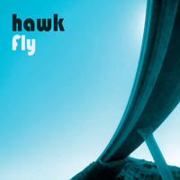 Hawk - Fly