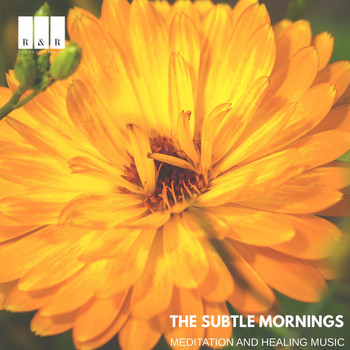 Various Artists - The Subtle Mornings: Meditation and Healing Music