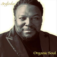 3rdjohn - Organic Soul