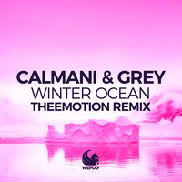 Calmani & Grey - Winter Ocean (Theemotion Remix)