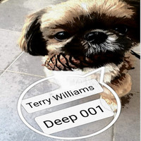Terry Williams - Deep 001