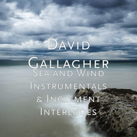 David Gallagher - Sea and Wind Instrumentals & Inclement Interludes