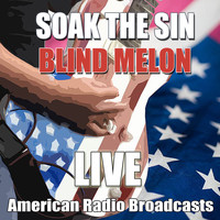 Blind Melon - Soak The Sin (Live)