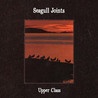 Upper Class - seagull joints