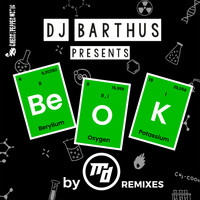 DJ Barthus - Be OK!