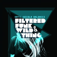 Jay C, Nicola Baldacci - Filtered Funk & Wild Thing