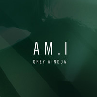 am.i - Grey Window