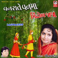 Meena Patel - Vanrate Vanma Mindhol Jaja - Lagnageet