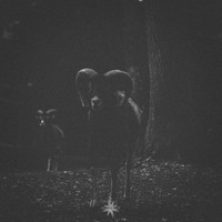 Sundrugs - Rituals I