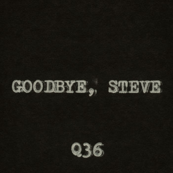 The Rentals - Goodbye, Steve