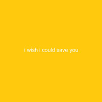 duyzi - I Wish I Could Save You