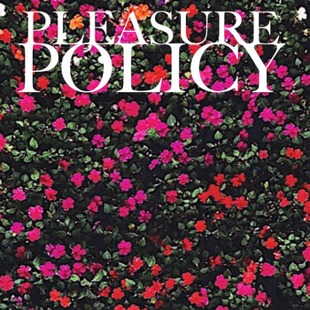 Pleasure Policy - Black Glass