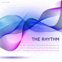 Gavril's - The Rhythm