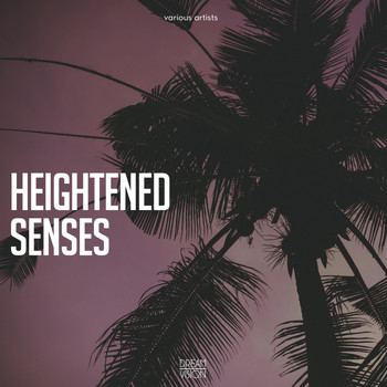 Various Artists - Heightened Senses