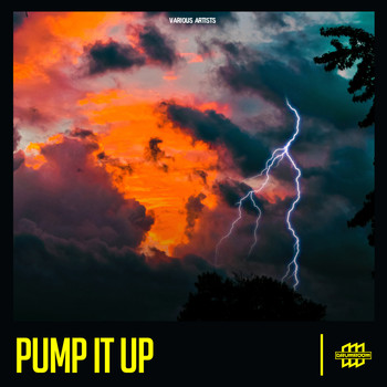 Various Artists - Pump It Up