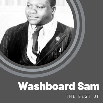 Washboard Sam - The Best of Washboard Sam