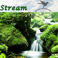 Klaus Back & Tini Beier - Stream (Nature Recordings)