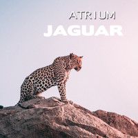 Atrium - Jaguar