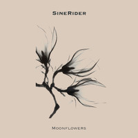 Sinerider - Moonflowers