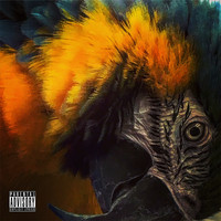 Renegade - Parrot (Explicit)