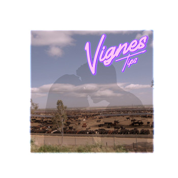 Vignes Tips - What If I Kissed U At Harris Ranch