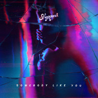 Sheppard - Somebody Like You