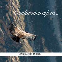 Innovación Andina - Cóndor Mensajero