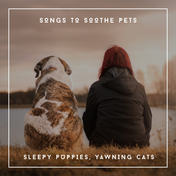 Pet Chillout Music - Songs To Soothe Pets - Sleepy Puppies, Yawning Cats